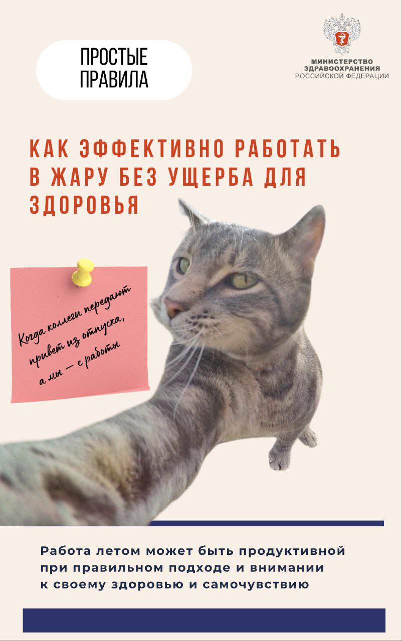 Как эффективно работать в жару без ущерба для здоровья - Грязинская ЦРБ